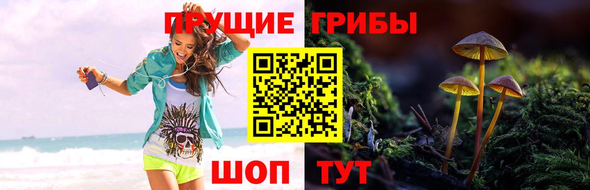Галлюциногенные грибы мицелий Ханты-Мансийск
